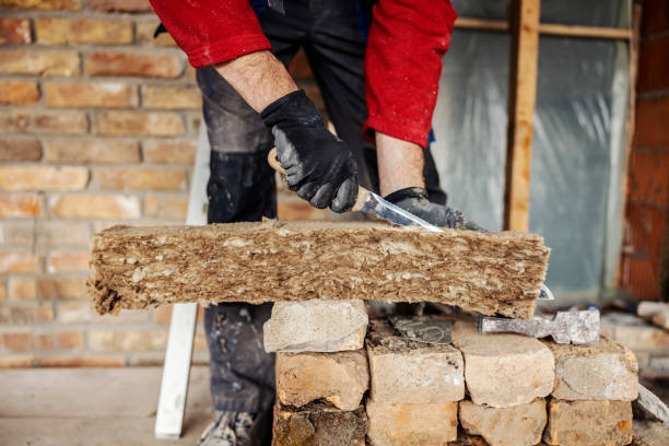Best Insulation Removal  in Beaver, WV